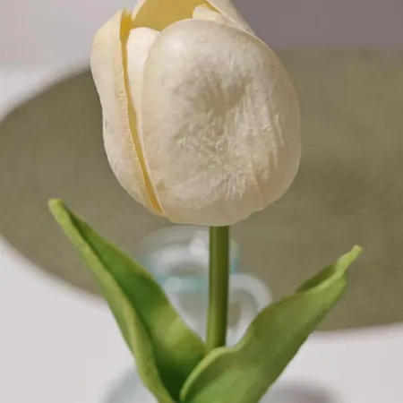 Old Town & New Style