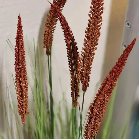 Old Town & New Style Apartmán