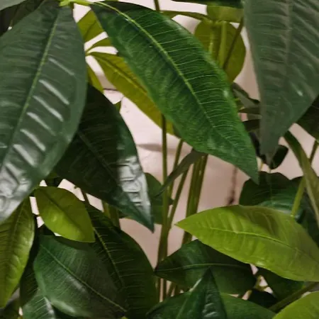 Old Town & New Style * Pécs