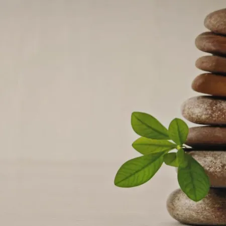 Old Town & New Style Pécs