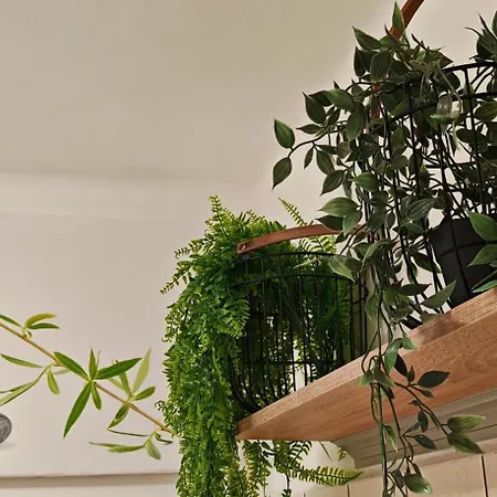 Apartament Old Town & New Style Beci