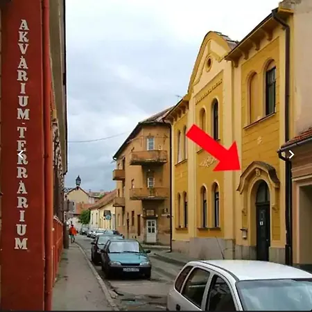 Apartament Old Town & New Style *