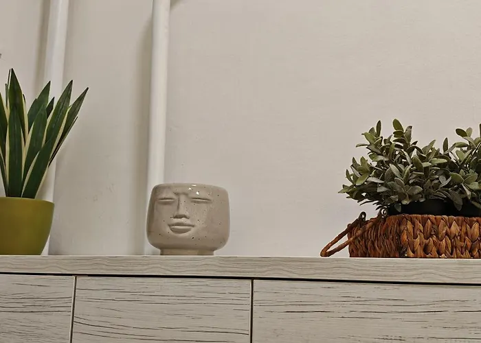 Old Town & New Style Apartament Pécs