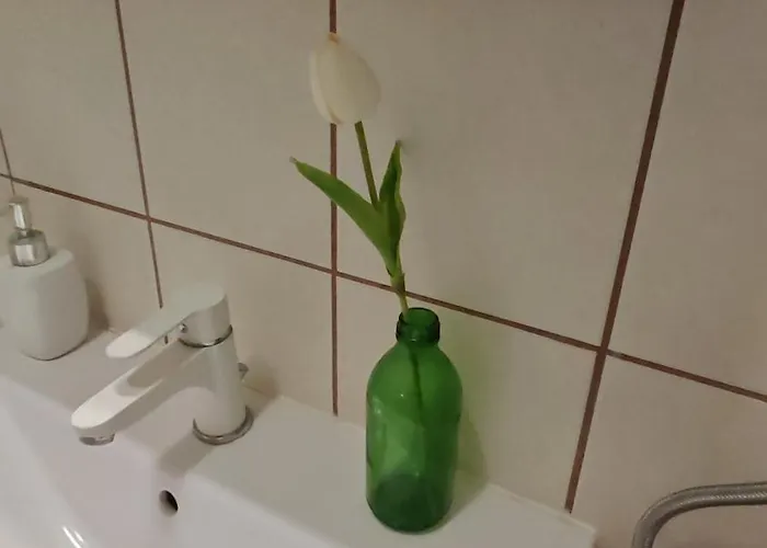 Apartament Old Town & New Style Pécs