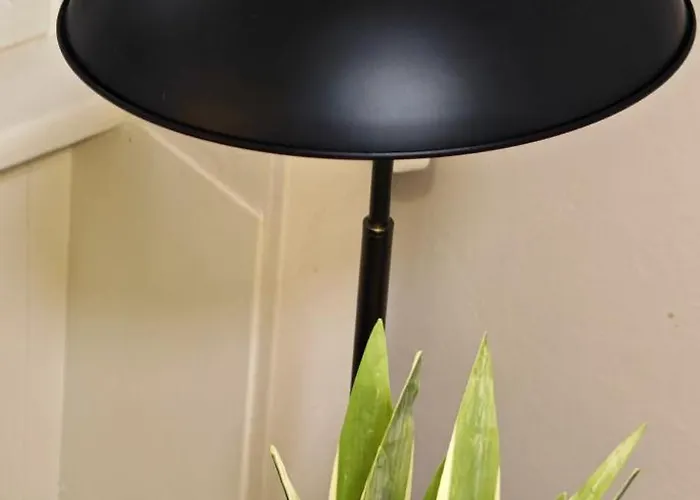 Old Town & New Style *