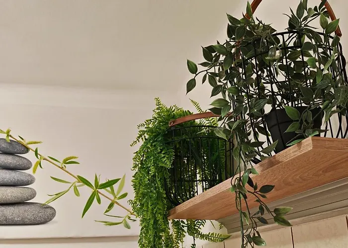 Apartament Old Town & New Style Pécs